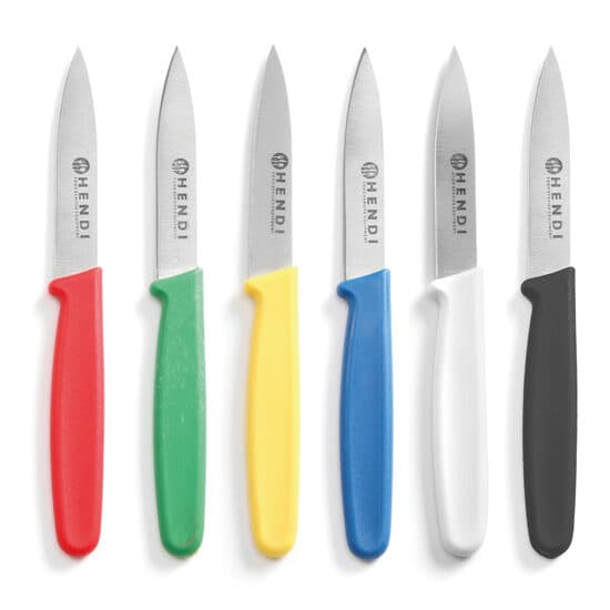 Set 6 x cutit bucatarie, lama inox 7.5 cm / lungime cutit 17.5 cm, manere de 6 culori diferite, respecta normele igiena HACCP