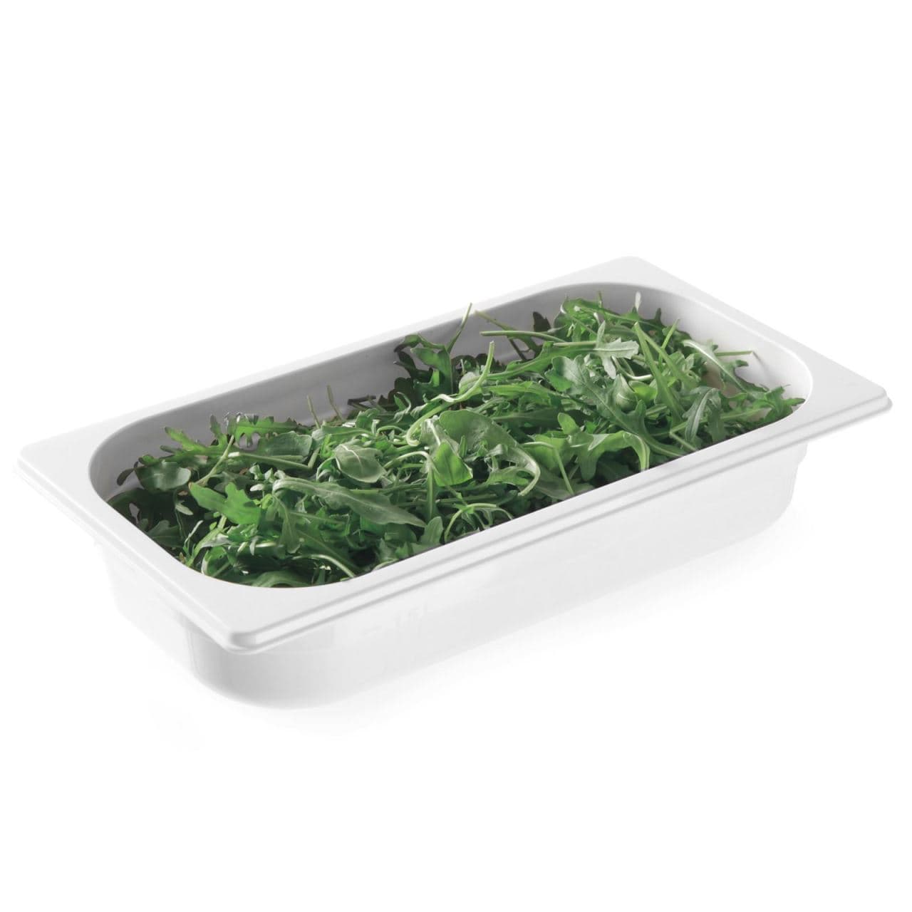 Tava profesionala Gastronorm 1/1 policarbonat alb 65 mm inaltime