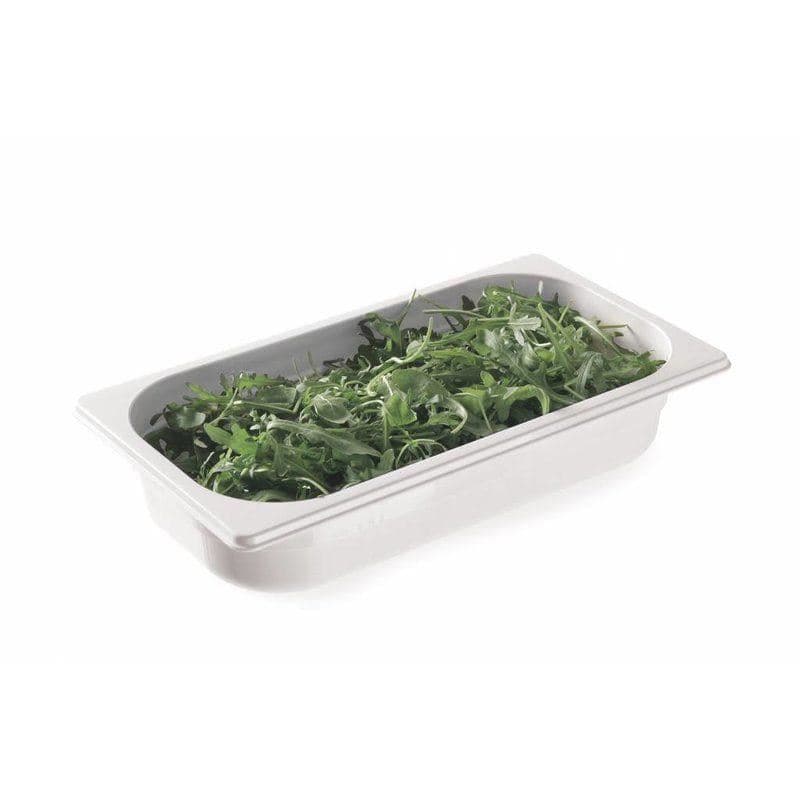Tava profesionala Gastronorm 1/2 policarbonat alb, 4 litri, 65 mm inaltime